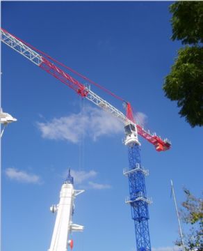China Professional Tower Crane Qtz40/50